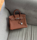 Hermes Birkin 25 Gold in Togo Palladium Hardware